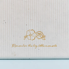 Load image into Gallery viewer, THE MOOTSH BOX